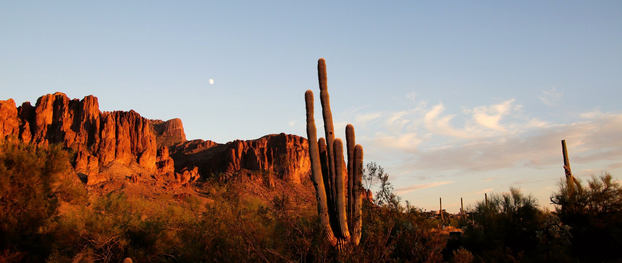 The Sonoran desert at blue hour, dusk settling over the mountains