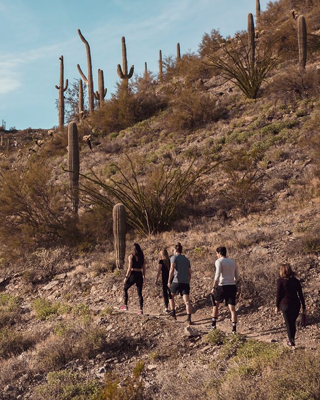 A desert trail winding through saguaro above the resort
